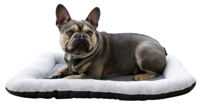 Hundekissen Graphene antibakteriell und für Allergiker geeignet, waschbar